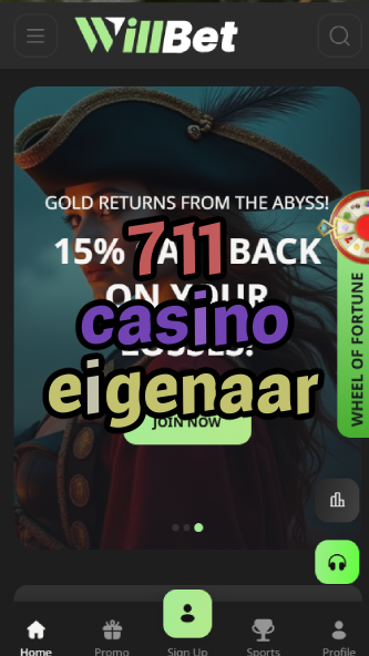 711 casino eigenaar-asdasdzhjkds.com